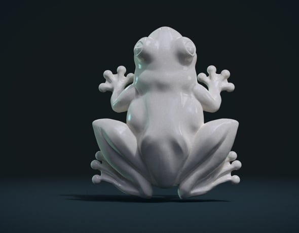 Frog - 3DOcean Item for Sale