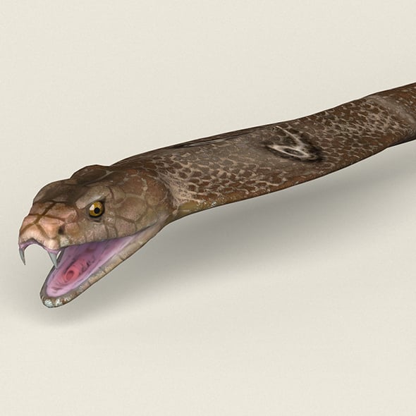 Low poly Realistic Cobra - 3DOcean Item for Sale