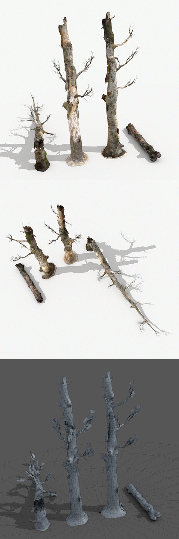 Dead Trees Collection - 3DOcean Item for Sale