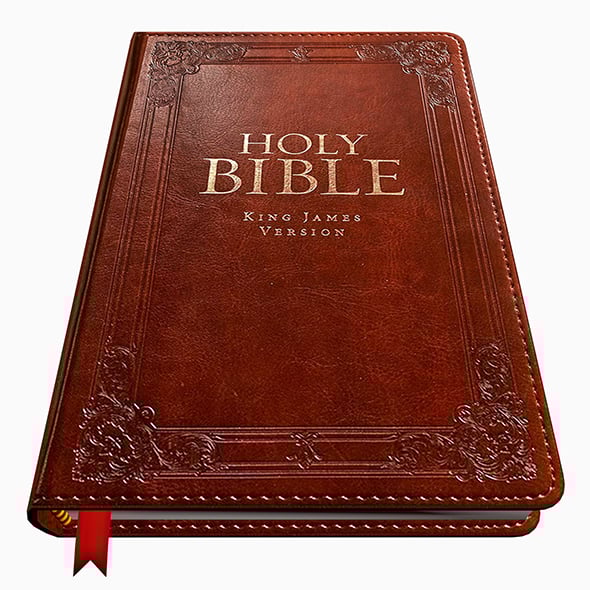 Bible - 3DOcean Item for Sale