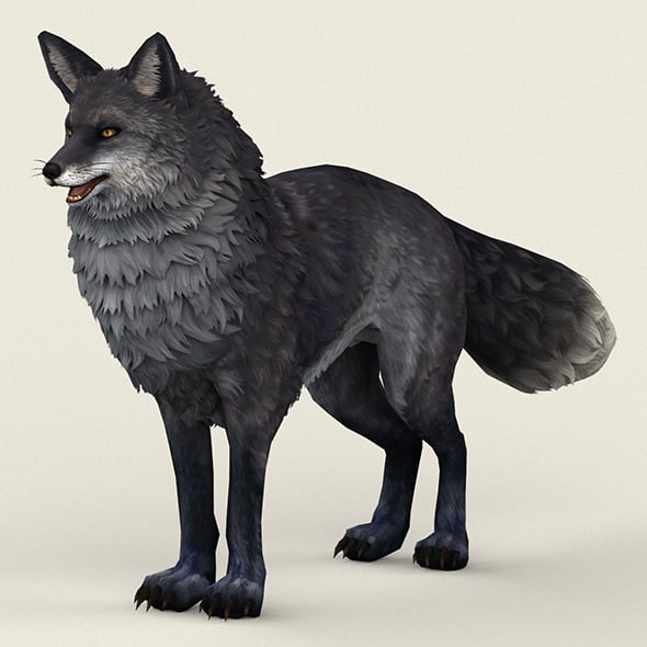 Game Ready Black Fox - 3DOcean Item for Sale