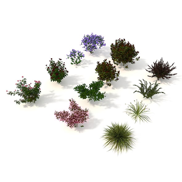 Realistic Garden Shrub 2 - 3DOcean Item for Sale
