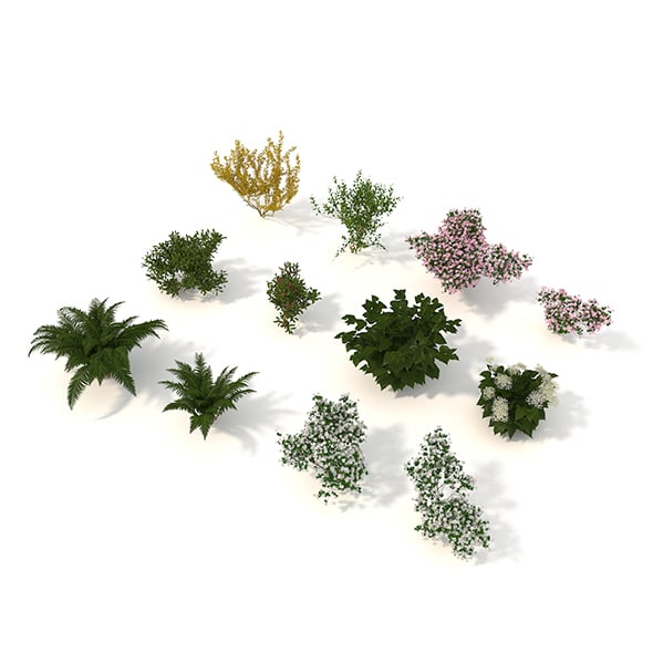 Realistic Garden Shrub - 3DOcean Item for Sale
