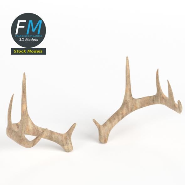 Antlers - 3DOcean Item for Sale