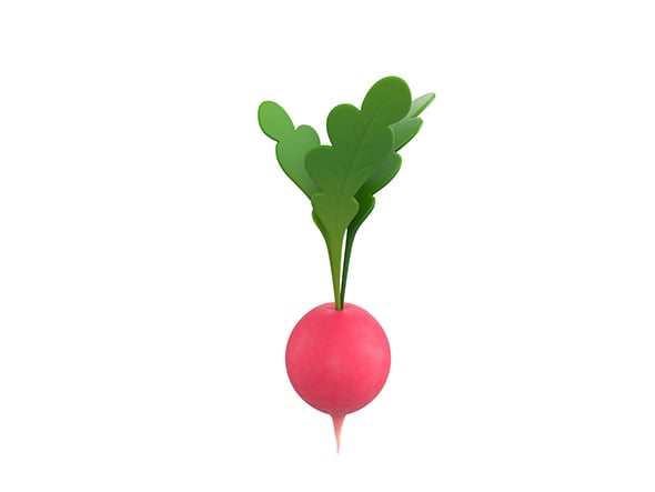 Radish - 3DOcean Item for Sale