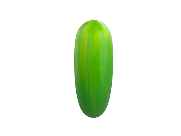 Cucumber - 3DOcean Item for Sale