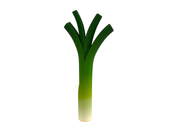 Leek - 3DOcean Item for Sale