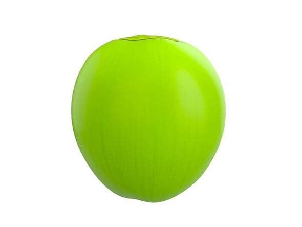 Coconut - 3DOcean Item for Sale