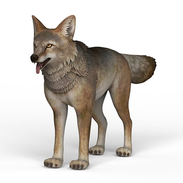 Game Ready Wolf - 3DOcean Item for Sale