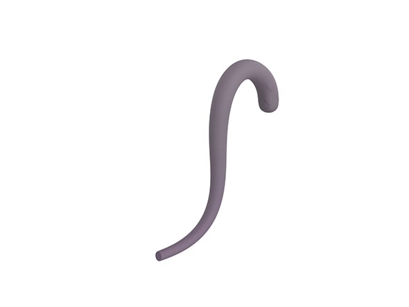 Cat Tail - 3DOcean Item for Sale