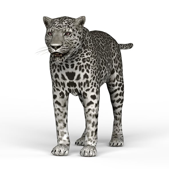 Snow Jaguar - 3DOcean Item for Sale