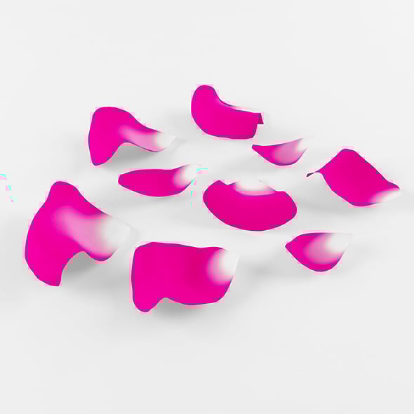 Pink Petals - 3DOcean Item for Sale