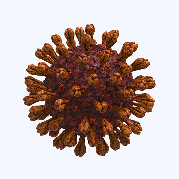 Coronavirus Disease 19 - 3DOcean Item for Sale