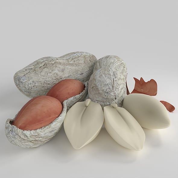 Realistic The Peanut - 3DOcean Item for Sale