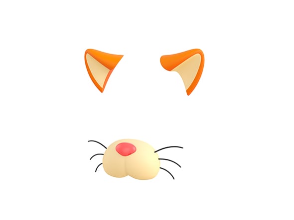 Cat Face - 3DOcean Item for Sale