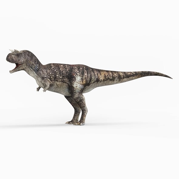 Carnotaurus Dinosaur - 3DOcean Item for Sale