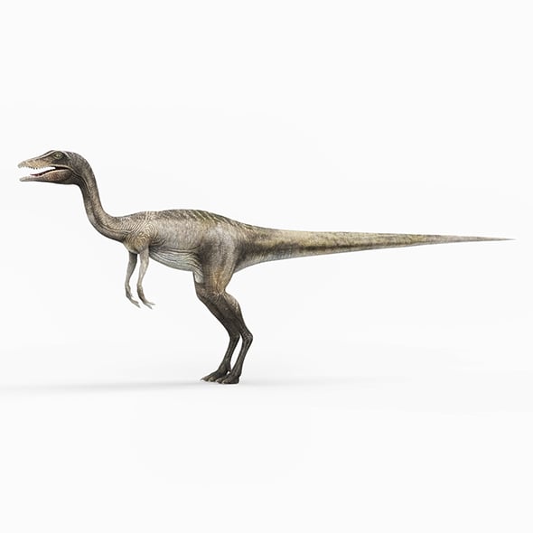 Compsognathus Dinosaur - 3DOcean Item for Sale