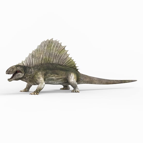 Dimetrodon Dinosaur - 3DOcean Item for Sale
