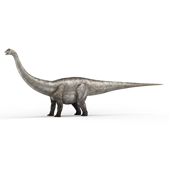 Diplodocus Dinosaur - 3DOcean Item for Sale