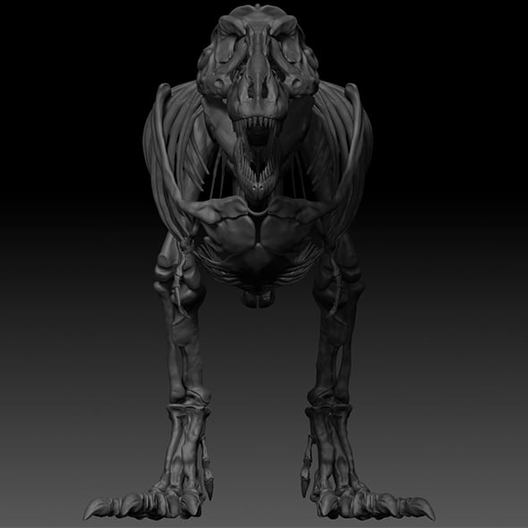 Adult Tyrannosaurus Rex Complete Skeletons - TREX Adult SUE - 3DOcean Item for Sale