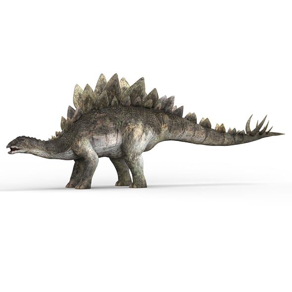 Stegosaurus Dinosaur - 3DOcean Item for Sale
