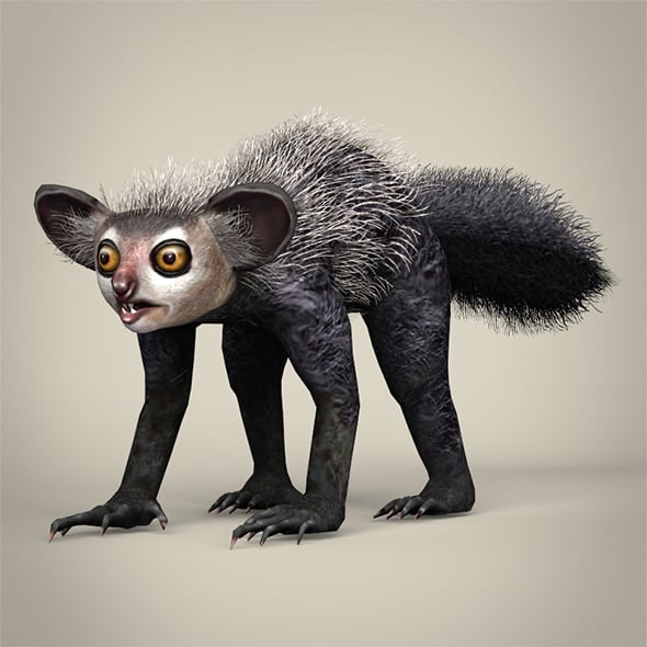 Low Poly Aye Aye - 3DOcean Item for Sale