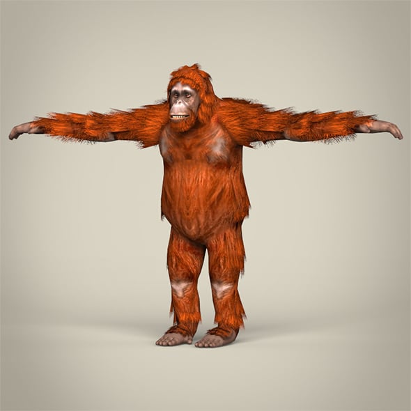 Low Poly Orangutan - 3DOcean Item for Sale