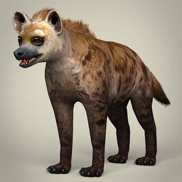 Low Poly Realistic Hyena - 3DOcean Item for Sale