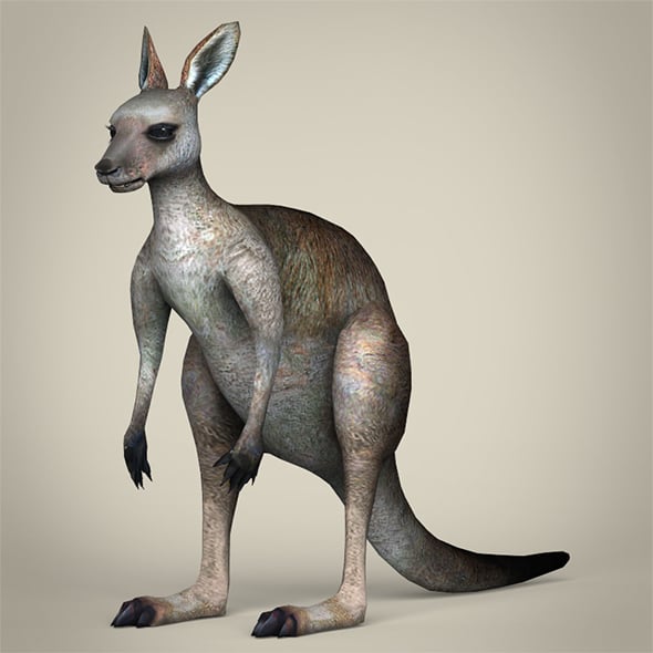 Low Poly Kangaroo - 3DOcean Item for Sale