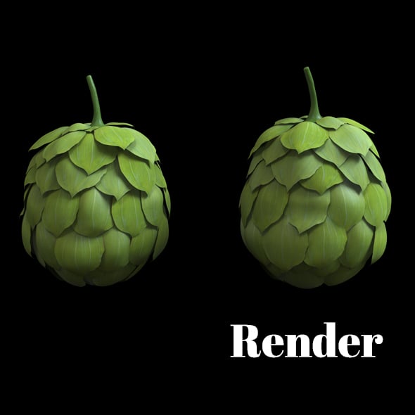 Hops herb animation loop. - 3DOcean Item for Sale