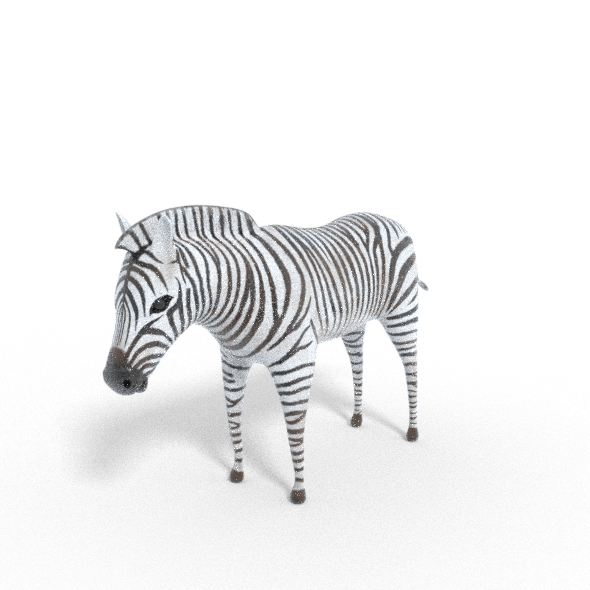 3D Zebra Model - 3DOcean Item for Sale