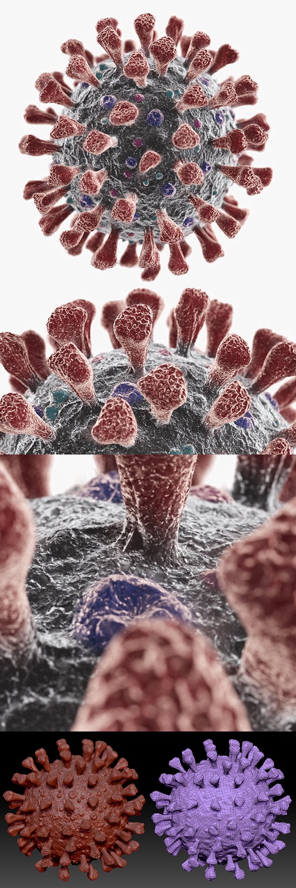 Corona Virus - 3DOcean Item for Sale