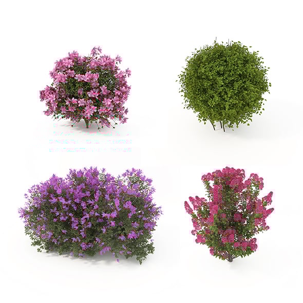 Realistic Shrub Bush Flower Set - 3DOcean Item for Sale