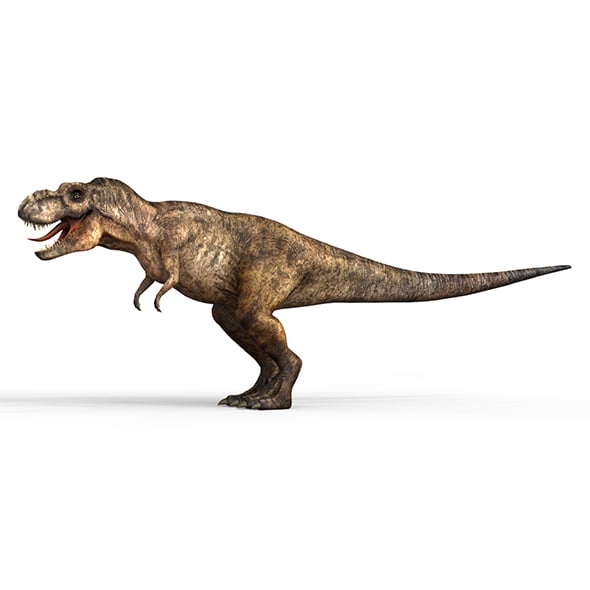 Trex Dinosaur With PBR Textures - 3DOcean Item for Sale