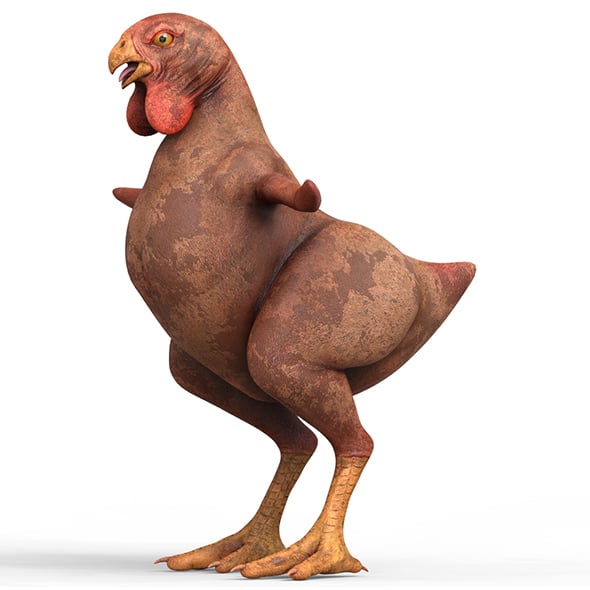 Chicken With PBR Textures - 3DOcean Item for Sale