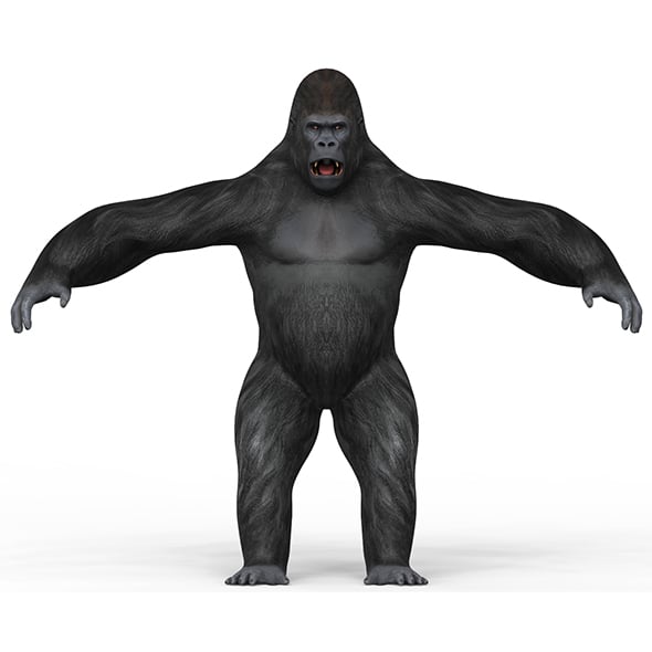Gorilla With PBR Textures - 3DOcean Item for Sale