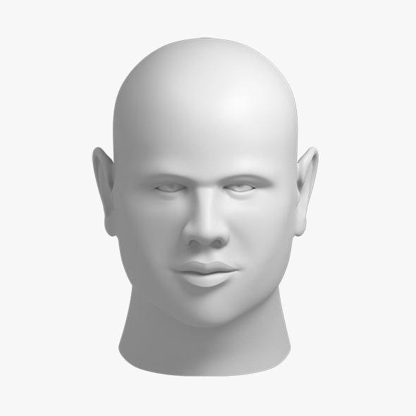 Head 05 - 3DOcean Item for Sale