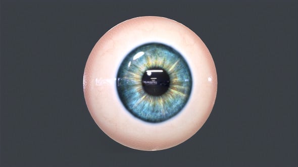 Human Eyeball Pack - Realistic 3D Lowpoly Model - 3DOcean Item for Sale