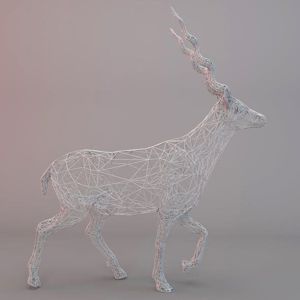 ANTELOPE WIREFRAME - 3DOcean Item for Sale