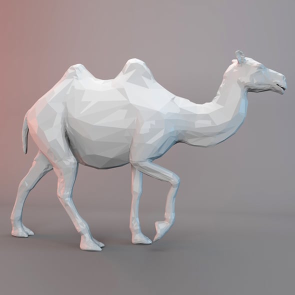CAMEL LOWPOLY - 3DOcean Item for Sale