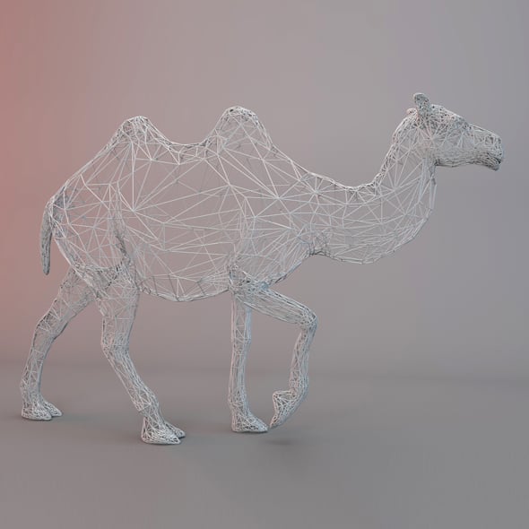 CAMEL WIREFRAME - 3DOcean Item for Sale