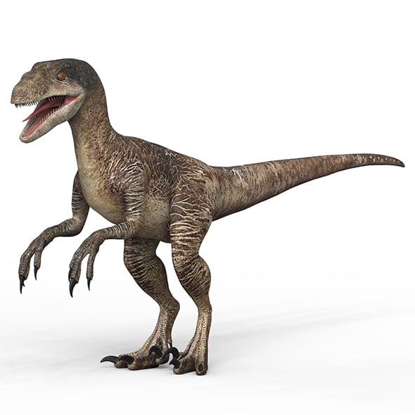 Velociraptor Dinosaur - 3DOcean Item for Sale