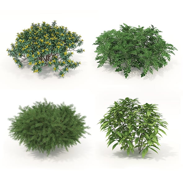 Realistic Shrub Bush Set - 3DOcean Item for Sale