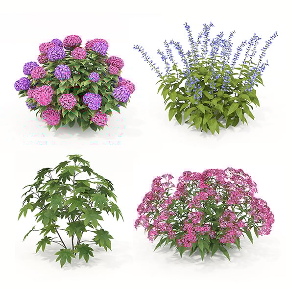 Realistic Shrub Bush Set 2 - 3DOcean Item for Sale