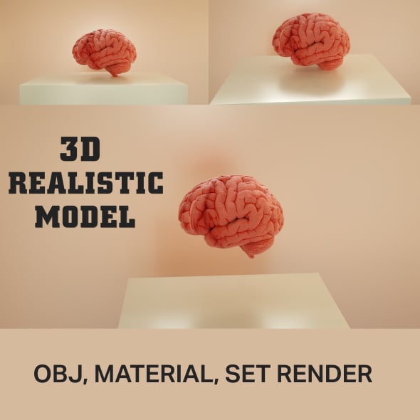 Brain 3D Realistic model 3D model - 3DOcean Item for Sale