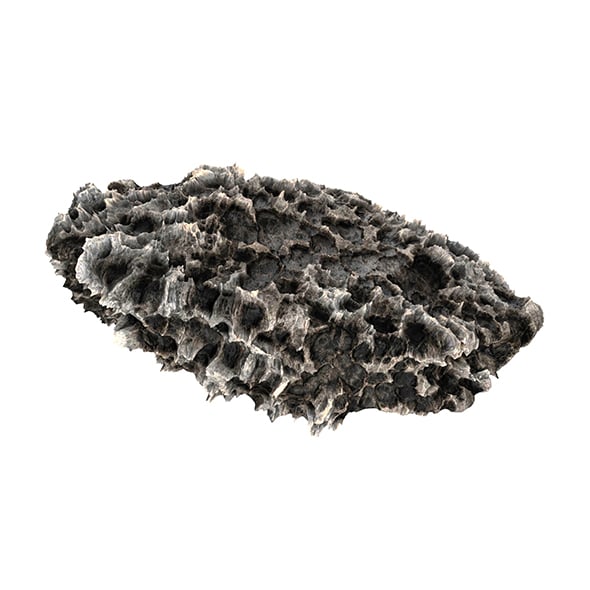 Volcanic Rock 08 - 3DOcean Item for Sale