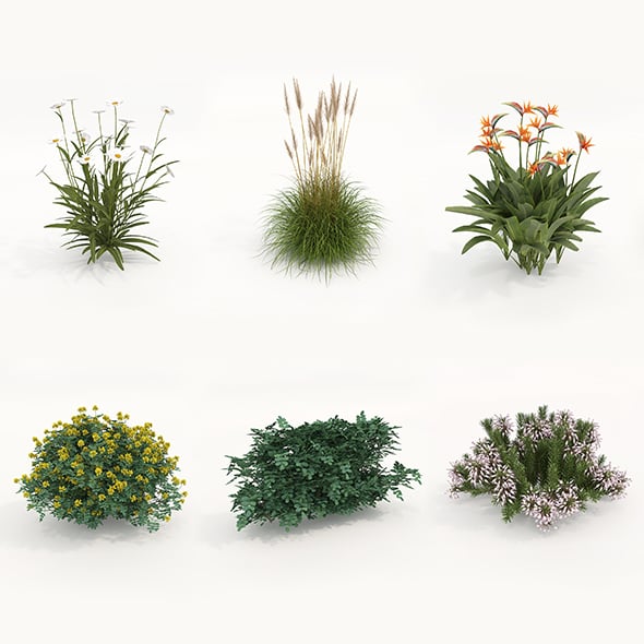 Realistic Shrub Bush Set 4 - 3DOcean Item for Sale