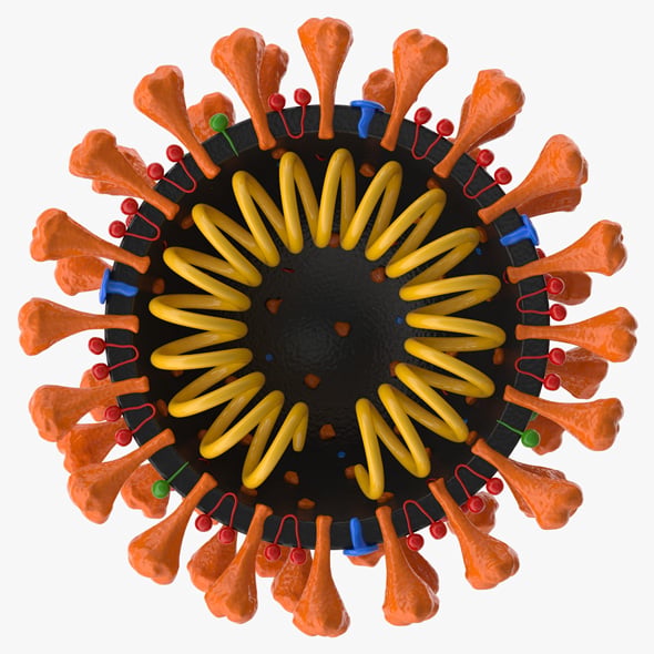 Coronavirus v2 Cross Section - 3DOcean Item for Sale