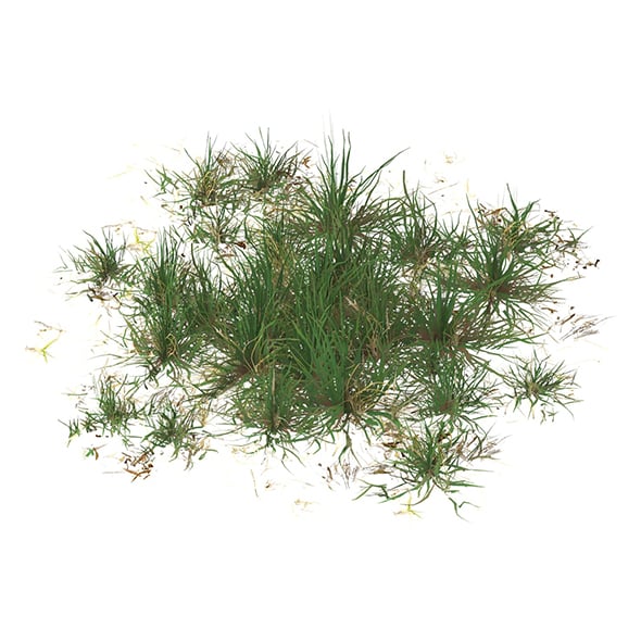 Realistic Game Ready Grass 07 - 3DOcean Item for Sale