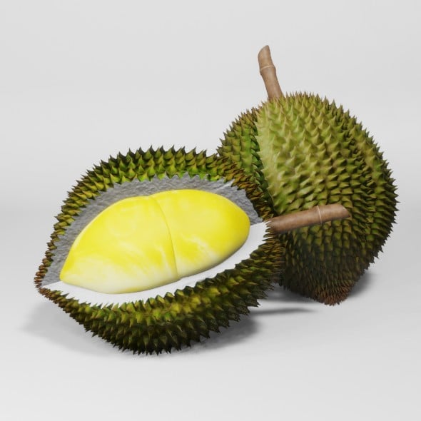 Durian fruit 3D model - 3DOcean Item for Sale